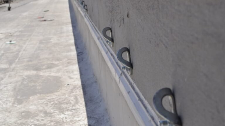 WhatsApp Image 2025-02-04 at 11.28.11 PM (2)