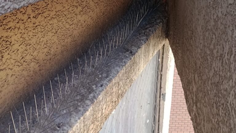 WhatsApp Image 2025-02-04 at 11.28.13 PM